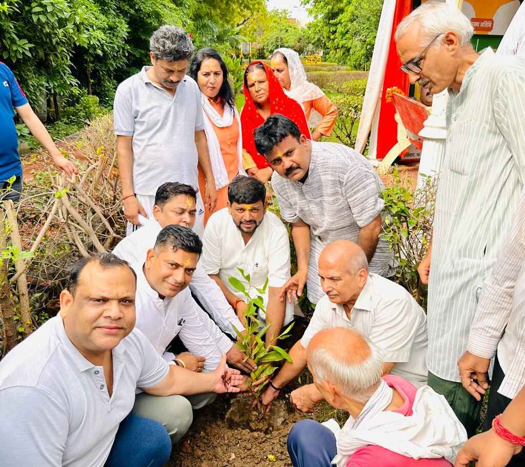 Tree Plantation in Sector 12, Gurugram